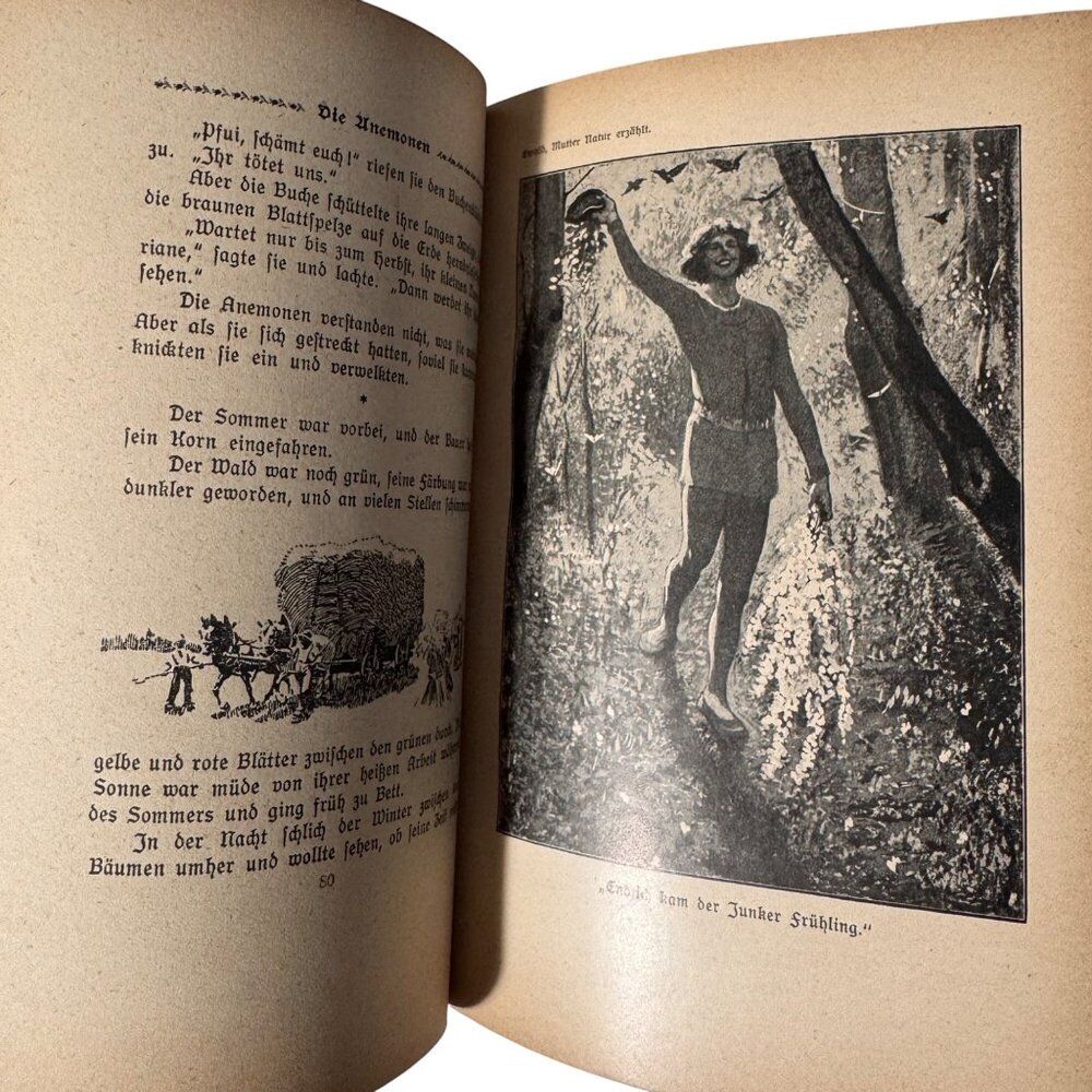 "Mother Nature Tells" By Karl Ewald Hardcover Book German Mutter Natur Erzählt - Picture 6 of 16